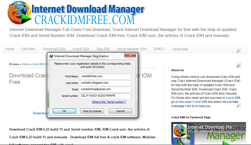 Internet download manager 6.21 build serial key 1